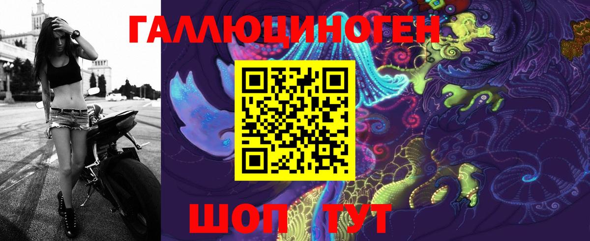 Галлюциногенные грибы Psilocybe Чернушка